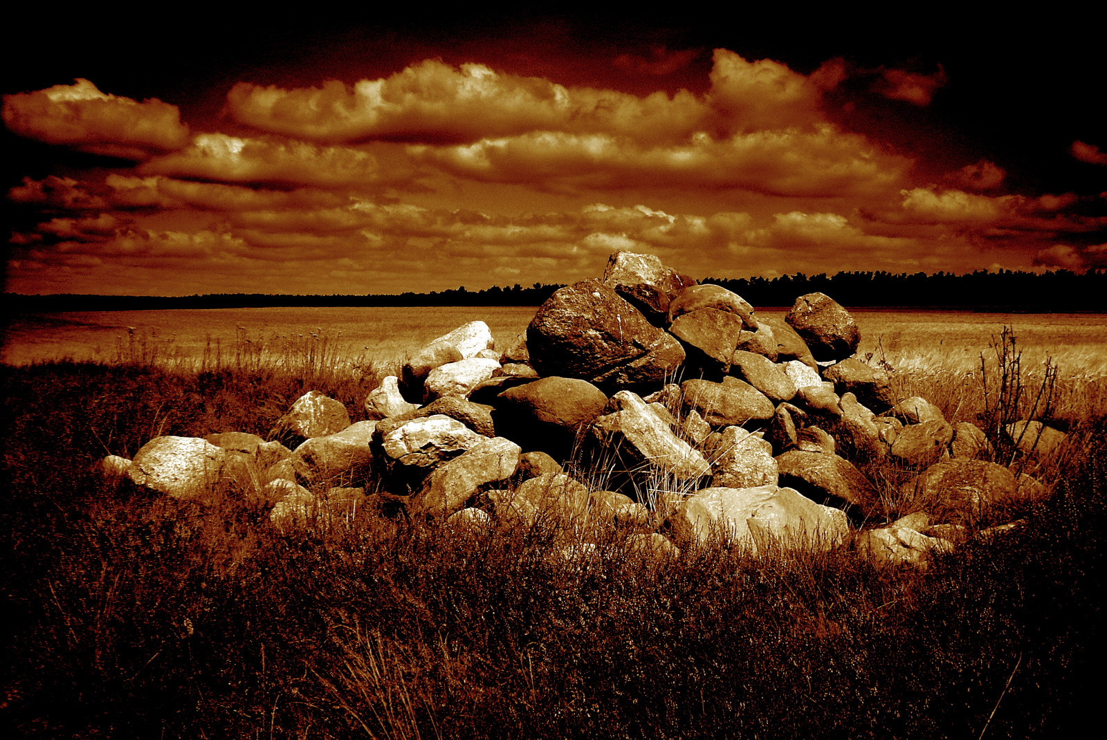 Sonnenlicht, Landschaft, Rock, Gras, Himmel, Steine, Wolken, Abend, Horizont, Wolke, Computer-Tapete, Grasfamilie, Stillleben Fotografie, Ecoregion, stock photography