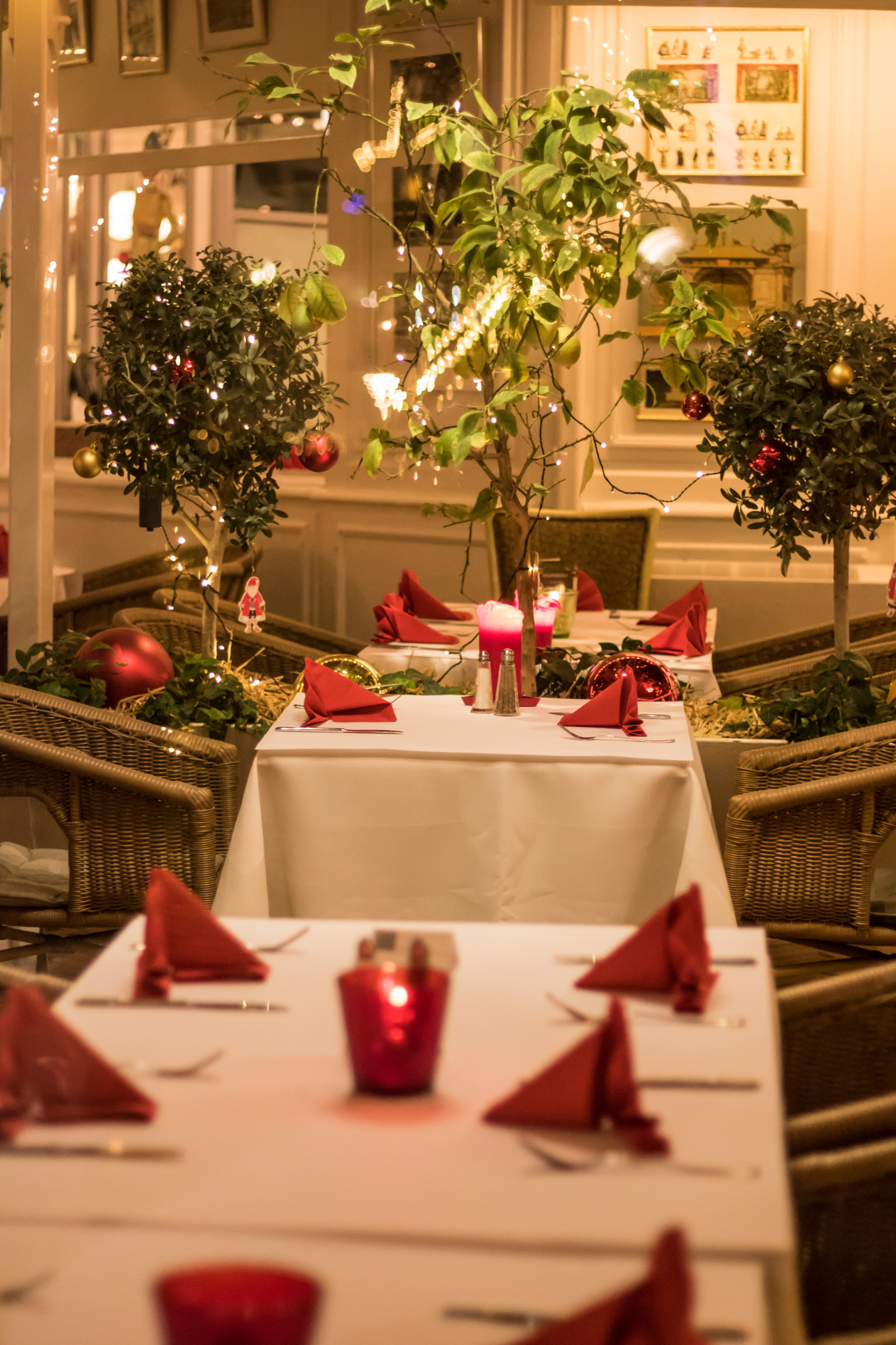 noc, Červené, stůl, Vánoční strom, Vánoce, Dovolená, Dánsko, květ, Vánoce, července, Danmark, nightphotography, Tivoli, Natt, jídlo, exif modelu canoneos760d, geocountry, Kamera aby kánon, geocity, Model fotoaparátu canoneos760d, geostate, geolocation, exif aby kánon, exif isospeed 2500, exif focallength 50mm, EXIF ef50mmf18stm čočka, EXIF otvor 20, kopenhavn, k penhamncopenhagen, nastavení tabulky, bord, dukning, vánoční dekorace, floristika, Vrchol