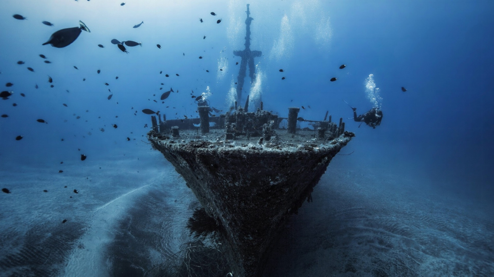 ship, sea, water, vehicle, silhouette, fish, blue, underwater, divers, shipwreck, bubbles, Arctic, ghost ship, Terrain, ocean, wave, watercraft, screenshot, computer wallpaper