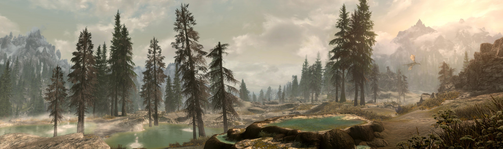 bethesda, pano, panorama, il, Sambuco, pergamene, V, Skyrim, speciale, edizione, SE, TESV, Tamriel, video, gioco, studios, all'aperto, paesaggio, foresta, alberi, montagne, fiume, fauna, mods, albero, caldo, molle, Drago, computergrafica, digitale, digitallygenerated, digitallygeneratedimage, 3D, sfondo, computer, grafica