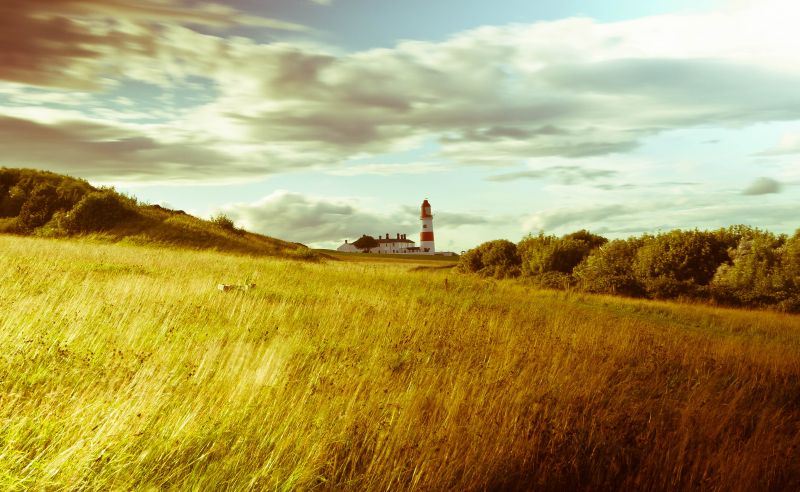 แนวนอน,เนินเขา,หญ้า,ท้องฟ้า,แสงแดด,ฟิลด์