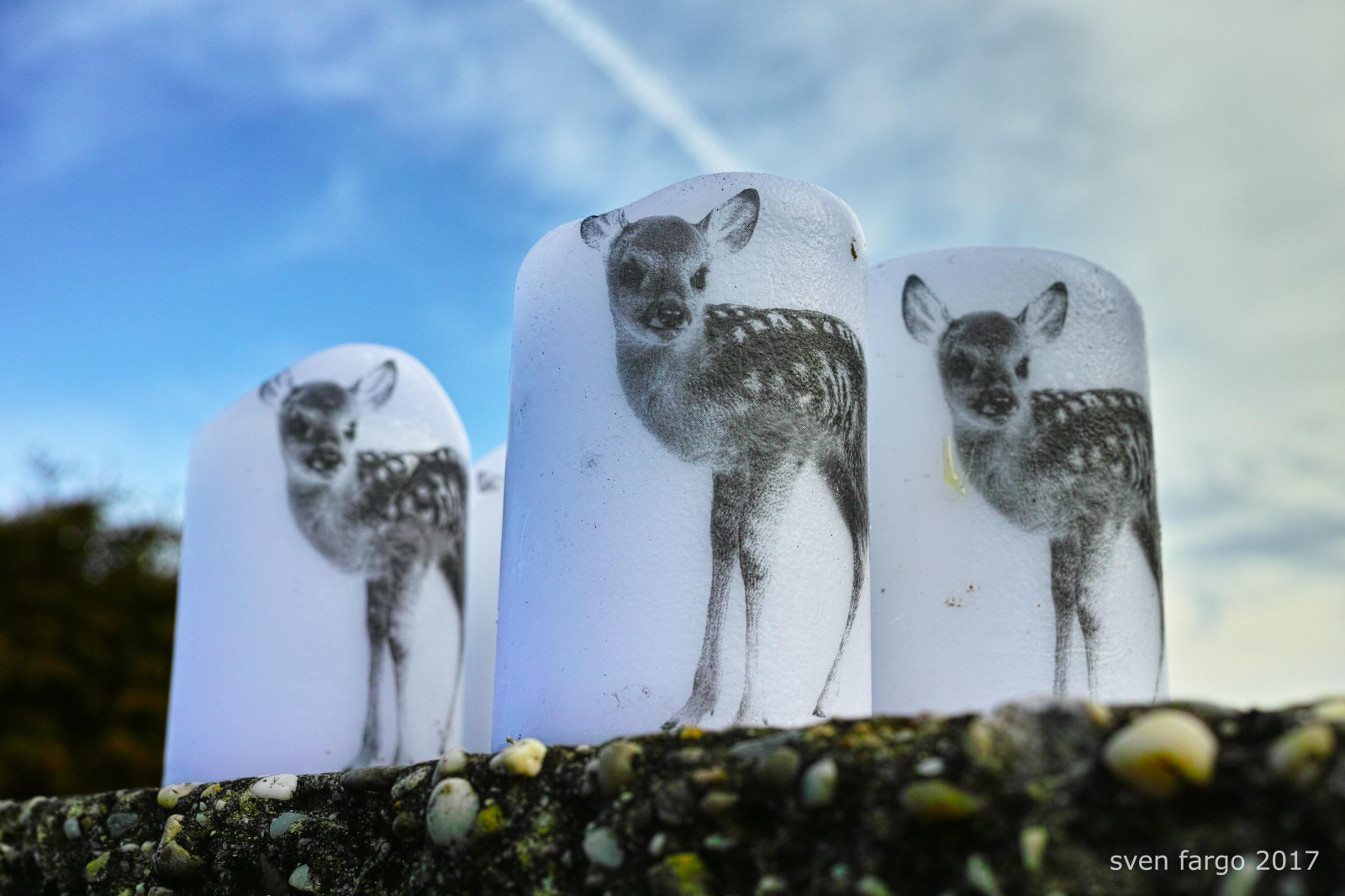 Stadt, Straße, abstrakt, Wasser, Natur, Minimalismus, städtisch, Schnee, Winter, Eis, Österreich, Wien, KUNST, Farbe, Tier, Vogel, Streetphoto, Detail, minimal, Sigma, Dp2, Streetphotos, Farben, Wien, Osterreich, ungerade, Maurill, Gefunden, Mnmlsm, Bambis