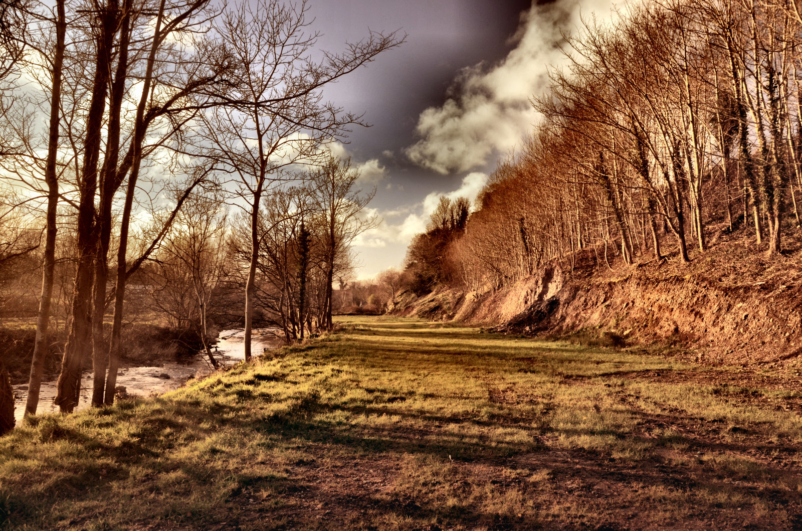 Sonnenlicht, Landschaft, Wald, alt, Natur, Gras, Himmel, Winter, Holz, Eisenbahn, Ast, Morgen, Fluss, Irland, Pfad, Wolke, Baum, zwischen, Pflanze, das, Nördlich, Unten, Linie, fließen, und, Wald, Boden, ländliches Gebiet, Computer-Tapete, Holzige Pflanze, Grasfamilie, Co, Ulster, Wehr, in der Nähe von, Banbridge, Lenaderg, Bann, Scarva
