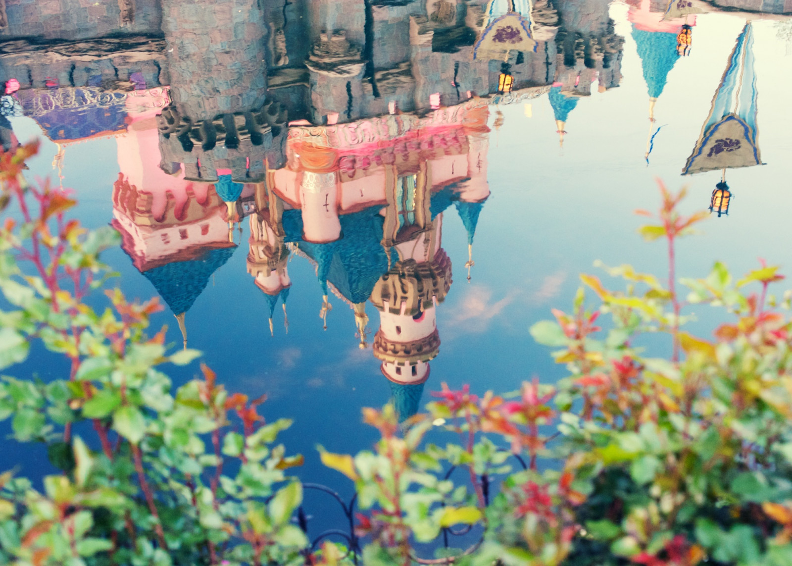 piante, riflessione, castello, acqua, sottosopra, crepuscolo, Disneyland, prospettiva, Disney, Anaheim, Parco a tema, Walt Disney, Sleepingbeautycastle, disneylandresort, Afsnikkor50mmf14g