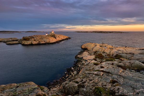 trees, sunset, sea, lighthouse, ocean, seascape