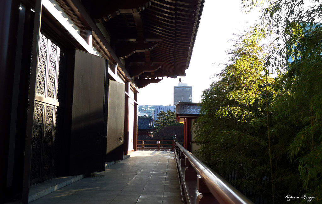 Japonsko, chrám, Tokio, Buddhismus, bambus, Nippon, Shiba, Bambu, Japon, buddhisttemple, Giappone, Templo, Nihon, Bambou, chrám, tokio, Bouddhisme, Tempio, budismo, Tokugawa, Buddhismus, Buddhismo, Zojoji, Daiden, Bambuseae, Buddhisttempel, J dosh, Templosbudistas, Sanenzanz j ji, Templesbouddhistes, Y y s