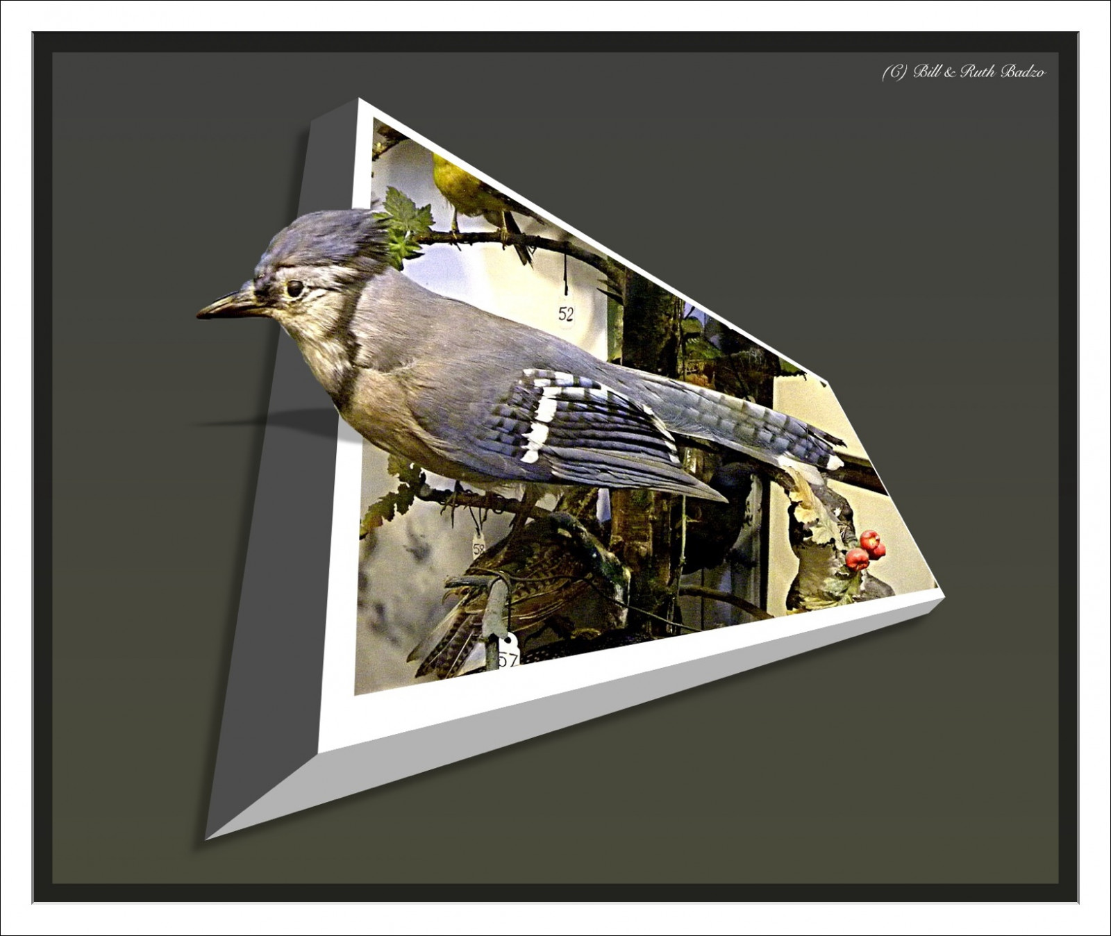 My Image 15