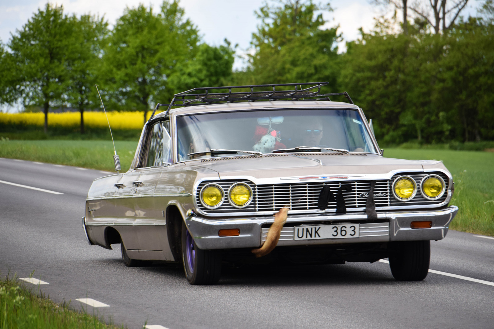 světla, Příroda, auto, nebe, vozidlo, silnice, žlutý, Švédsko, veteránem, limuzína, Sverige, venkovní, sk nel n, se, nebe, sk ne, venkov, landsbygd, znásilnění, silnice, brassicanapus, rapseed, spannm l, v g, bil, pozemní vozidla, automobilový exteriér, automobil make, luxusní vůz, rodinný vůz, kompaktní vůz, motorové vozidlo, starožitný auto, výkonné auto