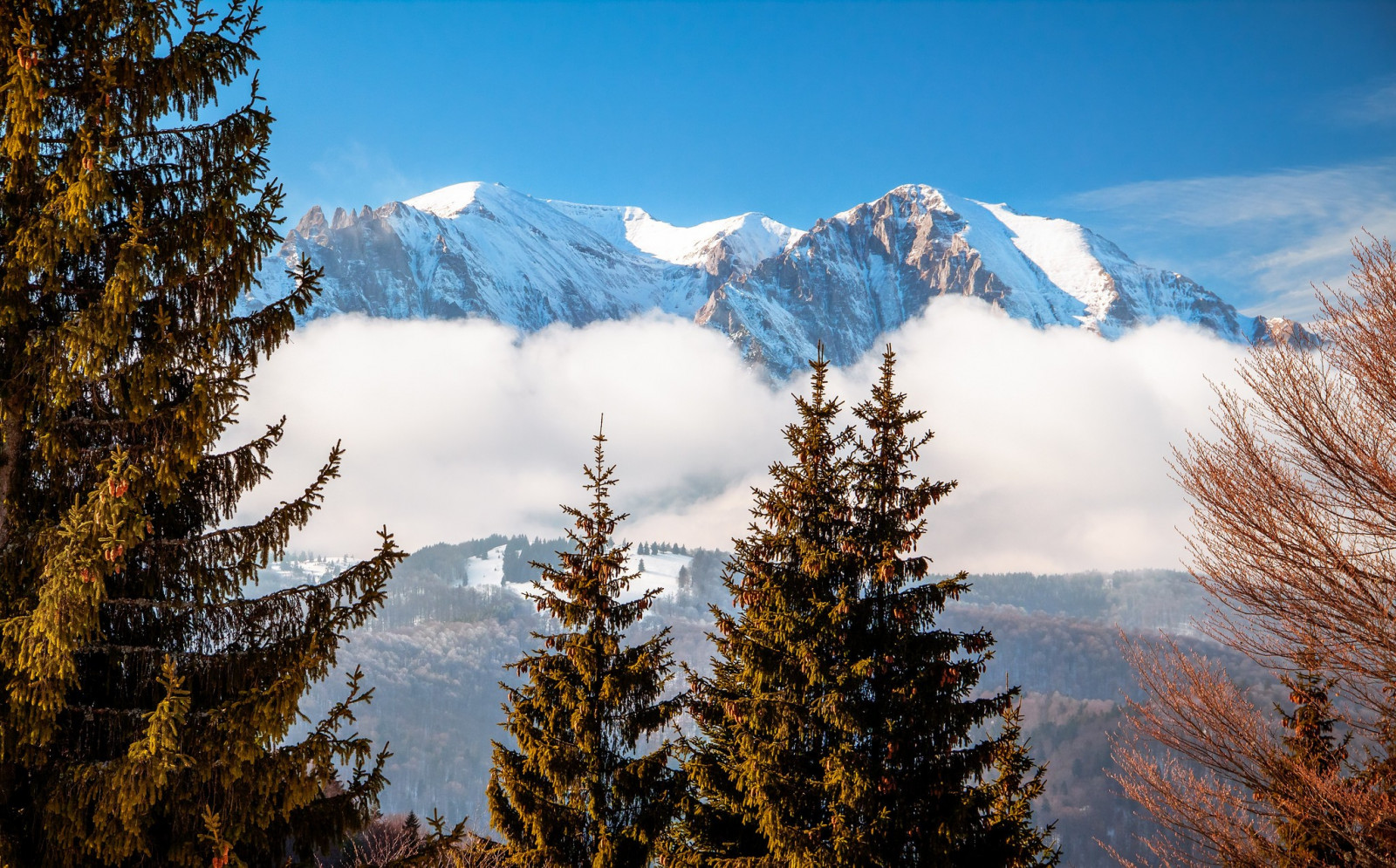 Sfondi : paesaggio, lago, riflessione, la neve, inverno, alberi di pino
