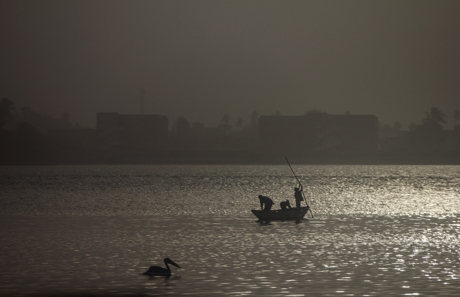 fugle, solnedgang, hav, fiskere, sø, vand, afspejling, aften, morgen, tåge, horisont, skumring, helgen, Atlantic, Sky, tåge, vejr, daggry, ocean, bølge, både, mørke, hoppe, mat56, louis, senegal, barche, landskaber, paesaggi, Oceano, mattino, atmosfærisk fænomen, sort og hvid, monokrom fotografering, atlantico, Uccelli, Pescatori, Pellicano
