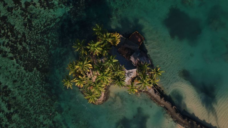nature, palm trees, water, green, sand, beach nature, palm trees, water, green, sand, beach