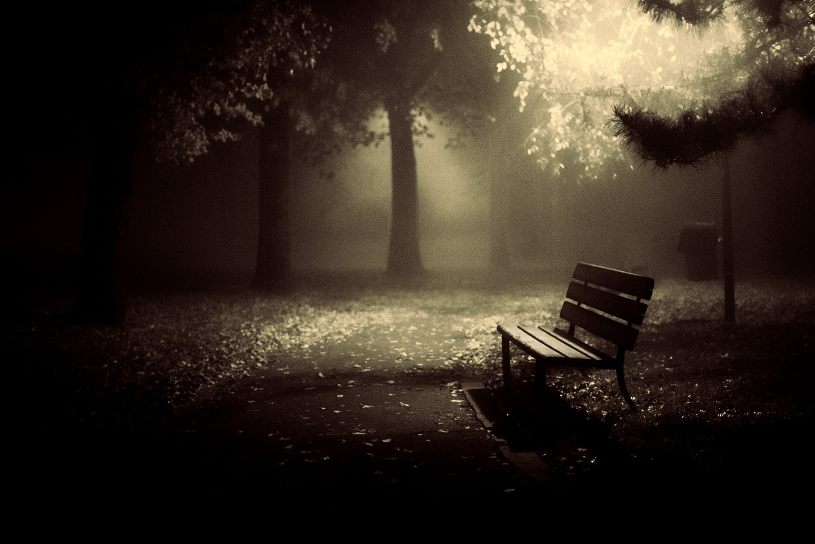 slunečnímu záření, černobílý, noc, zima, ráno, mlha, atmosféra, půlnoc, světlo, mlha, počasí, fotografie, tma, notte, inverno, Nebbia, panchina, atmosférický jev, Černý a bílý, monochromatické fotografování, dicembre