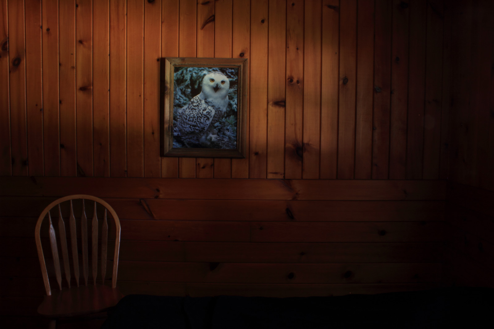 slunečnímu záření, okno, noc, Příroda, interiér, stěna, dřevo, Dům, textura, chata, sova, Wisconsin, roadtrip, Společenství, světlo, den, Amerika, osvětlení, tma, obrázek, Středozápad, mořidlo, americana, 004astop