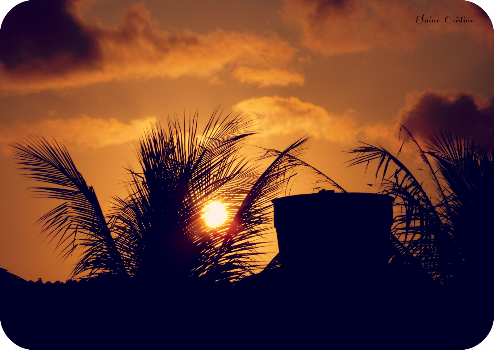 แสงแดด, พระอาทิตย์ตก, สีแดง, ท้องฟ้า, การถ่ายภาพ, ภาพเงา, พระอาทิตย์ขึ้น, ตอนเย็น, เช้า, ดวงอาทิตย์, ขอบฟ้า, บรรยากาศ, พลบค่ำ, บราซิล, Brasil, ความเรียบง่าย, โซล, 2012, เมฆ, ต้นไม้, flickr, วัน, รุ่งอรุณ, เงา, contraluz, 365, retrato, ภาพ, Pordosol, Silhueta, ลูซ, detalhes, recife, Pernambuco, arecales, วิชาพลศึกษา, quartasunset
