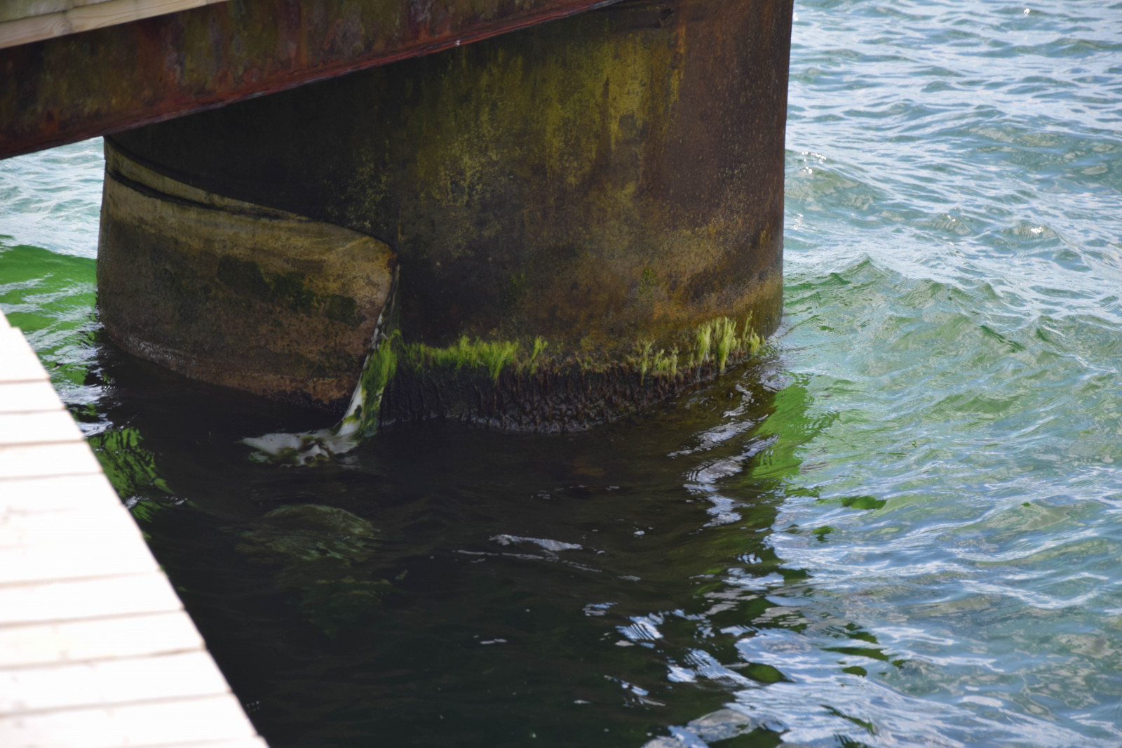 båd, hav, vand, sand, afspejling, himmel, køretøj, skyer, strand, blå, bro, sommer, Sverige, Terræn, ocean, bølge, himmel, streng, Brygga, sk ne, Moln, ystadkommun, Svarte, vandveje