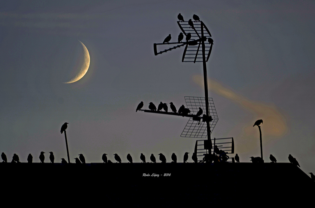 krajina, noc, Příroda, nebe, Měsíc, večer, Španělsko, atmosféra, Nikon, azul, Leon, slunce, nostalgie, Luna, Carl, mrak, svítání, prozkoumat, naturaleza, paisaje, amarillo, noche, atardecer, primavera, rojo, Zeiss, carlzeiss, tma, energie, luz, senderos, Paisajes, nikonistas, atardeceres, espana, počítač tapeta, astronomický objekt, půlměsíc, sentimientos, jev, Pueblos, lunallena, Cielos, Espacio, Otono, Pajaros, castillayleon, pueblosdeespa, elbierzo, Laluna, Quilos, Lasiesta, Lunanueva, Casillayleon, Castllayleon, Naturalezacautivadora, Lunadeperigeo, Castillayleonesvida, Paisajesbercianos, Costumbrestradicionespueblos, Paisajesdecastillayleon, Pajarosentejados, Pueblosdelbierzo