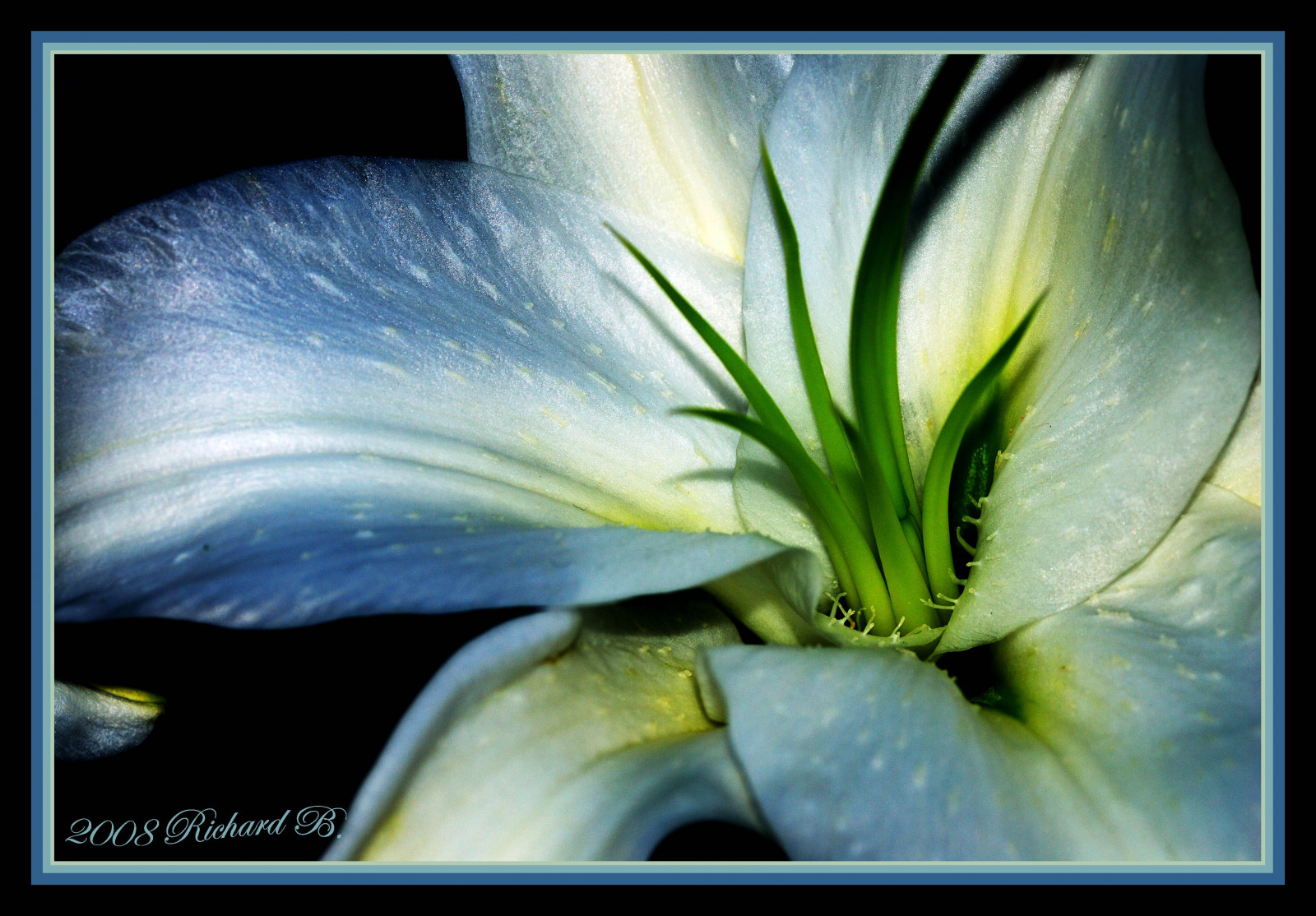 květiny, makro, zelená, Nikon, Duhovka, květ, rostlina, oko, lilie, flóra, okvětní lístek, květiny, abigfave, 1001nights, Soe, natureselegantshots, theunforgettablepictures, awesomeblossoms, flickrflorescloseupmacros, macroflowerlovers, aplusphoto, D80, goldstaraward, colorphotoaward, damniwishidtakenthat, multimegashot, qualitypixels, beautysecret, wonderfulworldmix, počítač tapeta, botanika, suchozemská rostlina, kvetoucí rostlina, zblízka, makro fotografie, závod stonek, cffaa