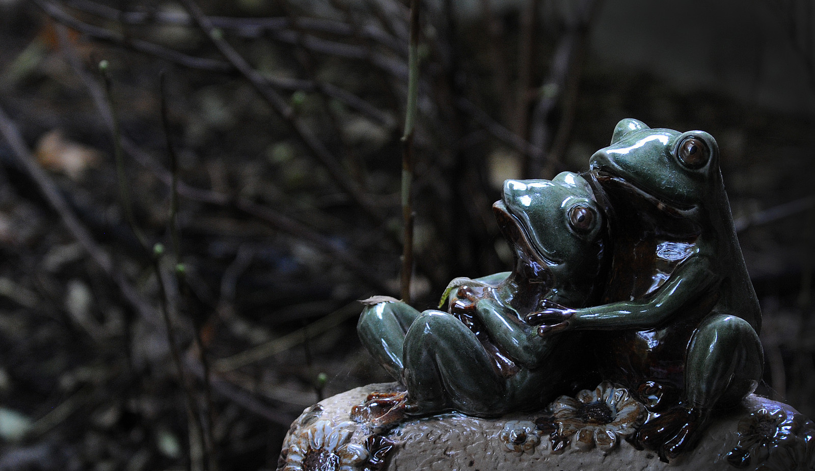 roztomilý, milovat, zahrada, svítání, velké oči, objímání, pár, keramika, sladký, rozkošný, milovníci, žáby, romantický, větvičky, Brzy