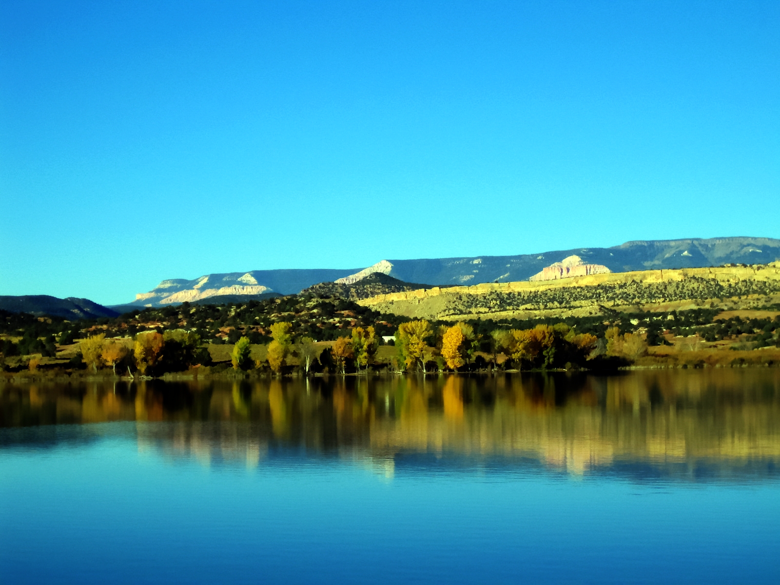 park, Červené, les, Utah, Stát, scénický, velký, kaňon, národní, schodiště, obratník, bryce, poklop, navahové, přehlédnout, jméno několika písní, dinosauři, Escalante, zkamenělý, Sunsetpoint, Panguitch, Cannonville, Sunrisepoint, Zpět, Thebluesoverlook
