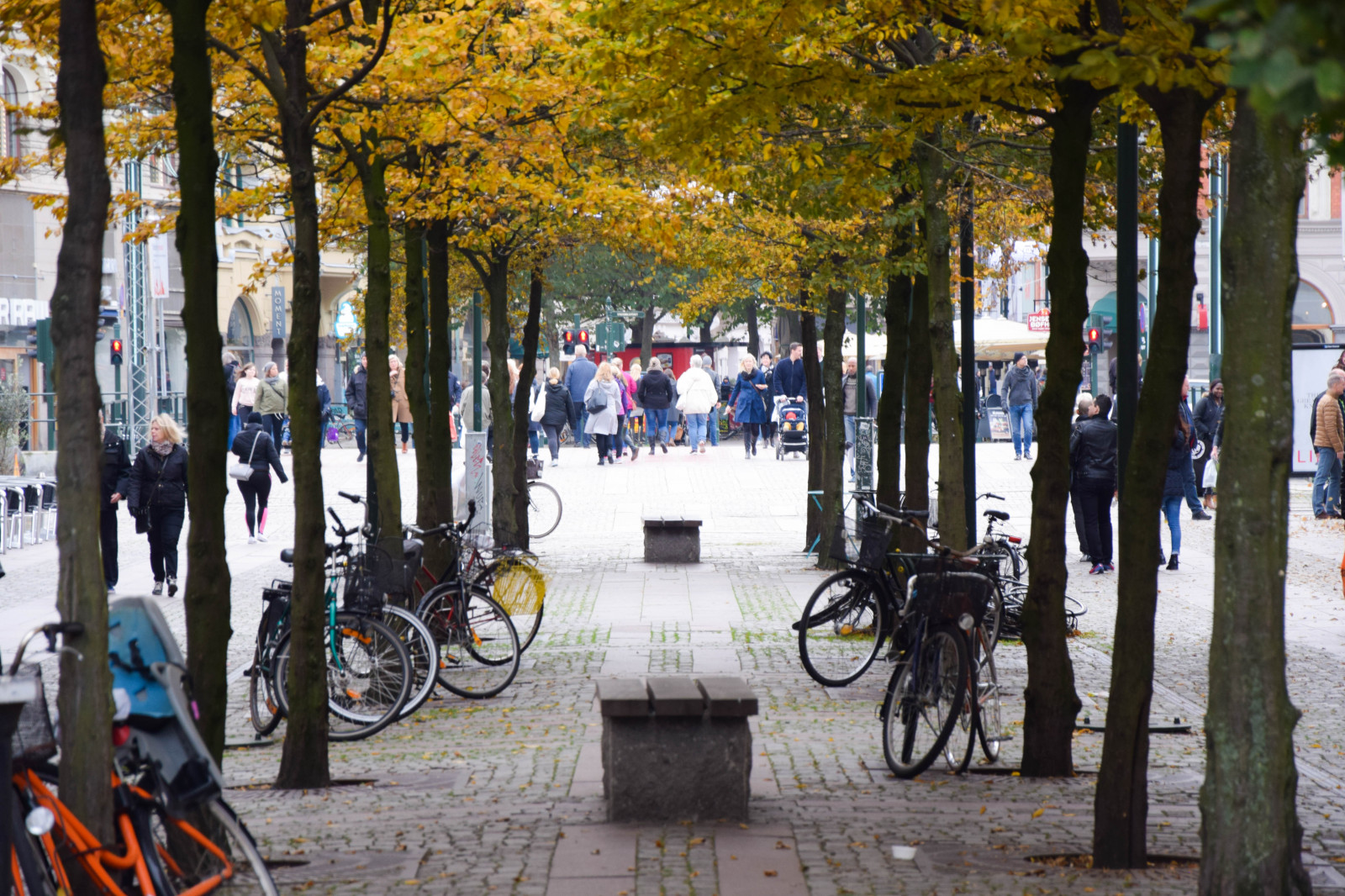 Fondos de pantalla Árboles, hojas, gente, calle, invierno, Turismo