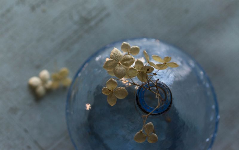glas,hortensia,Blueglass,sentimental,driedflowers,Crackleglas