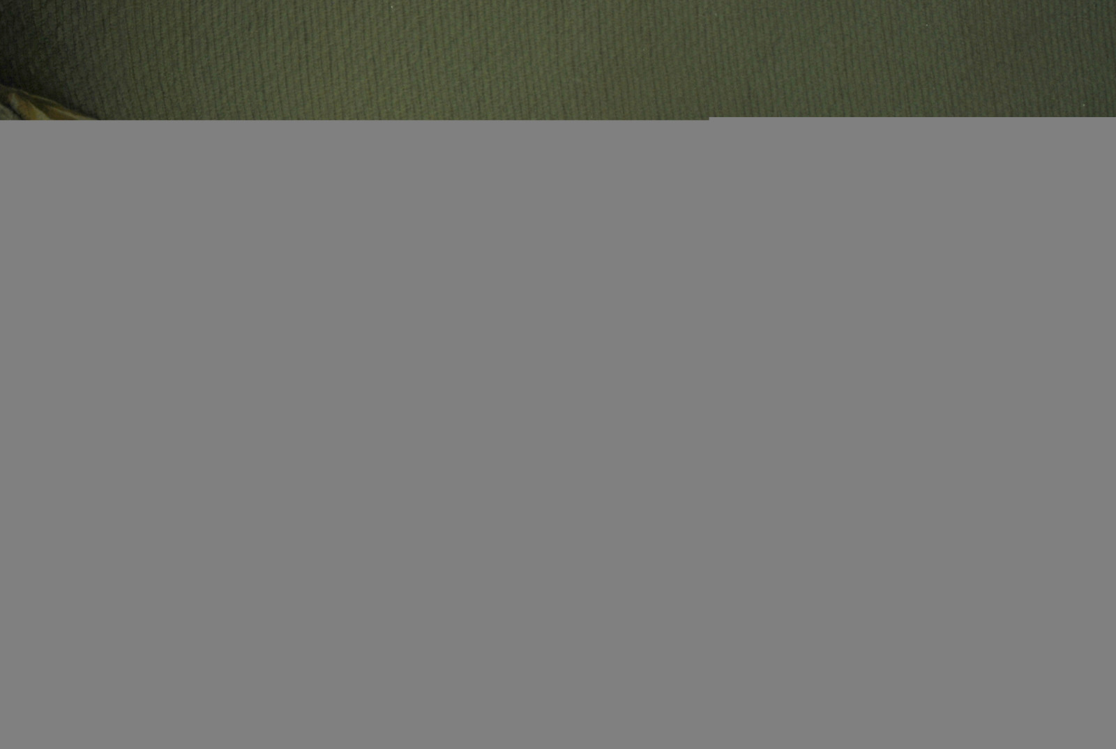 spací, oranžový, mužský, kočka, zázvor, Otis, mourek, gauč, gauč, líný, kitteh, lenošení, creamsicle, macska, gatto, Katzen, kot, ko ka, kedi, katt, Kissa, k ttur, Macka, kucing, kate, ma ek, ka je, pisica, CC1000, gorbe, cc2000