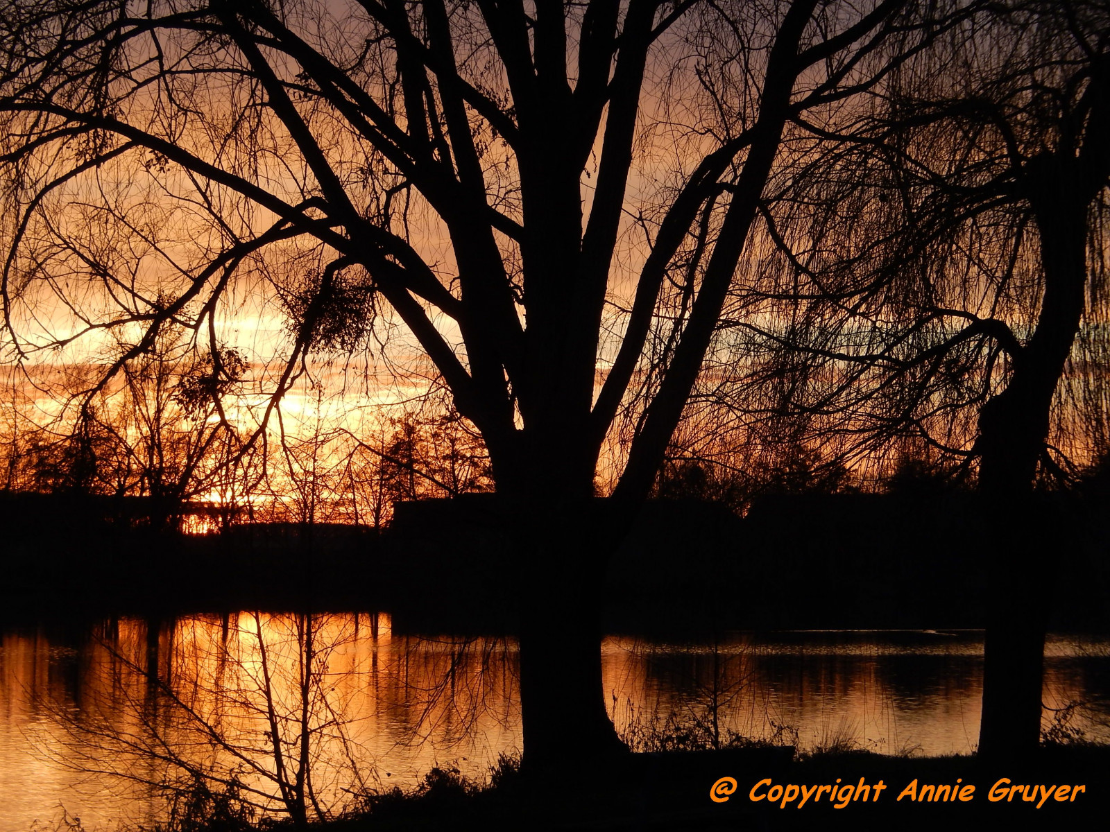 podzim, zima, světlo, západ slunce, stín, Červené, oranžový, Francie, odraz, strom, Příroda, silueta, noc, Nikon, hiver, Riviere, karetní hra, reflet, soir, nuit, arbre, okrová, eure, etang, coucherdusoleil