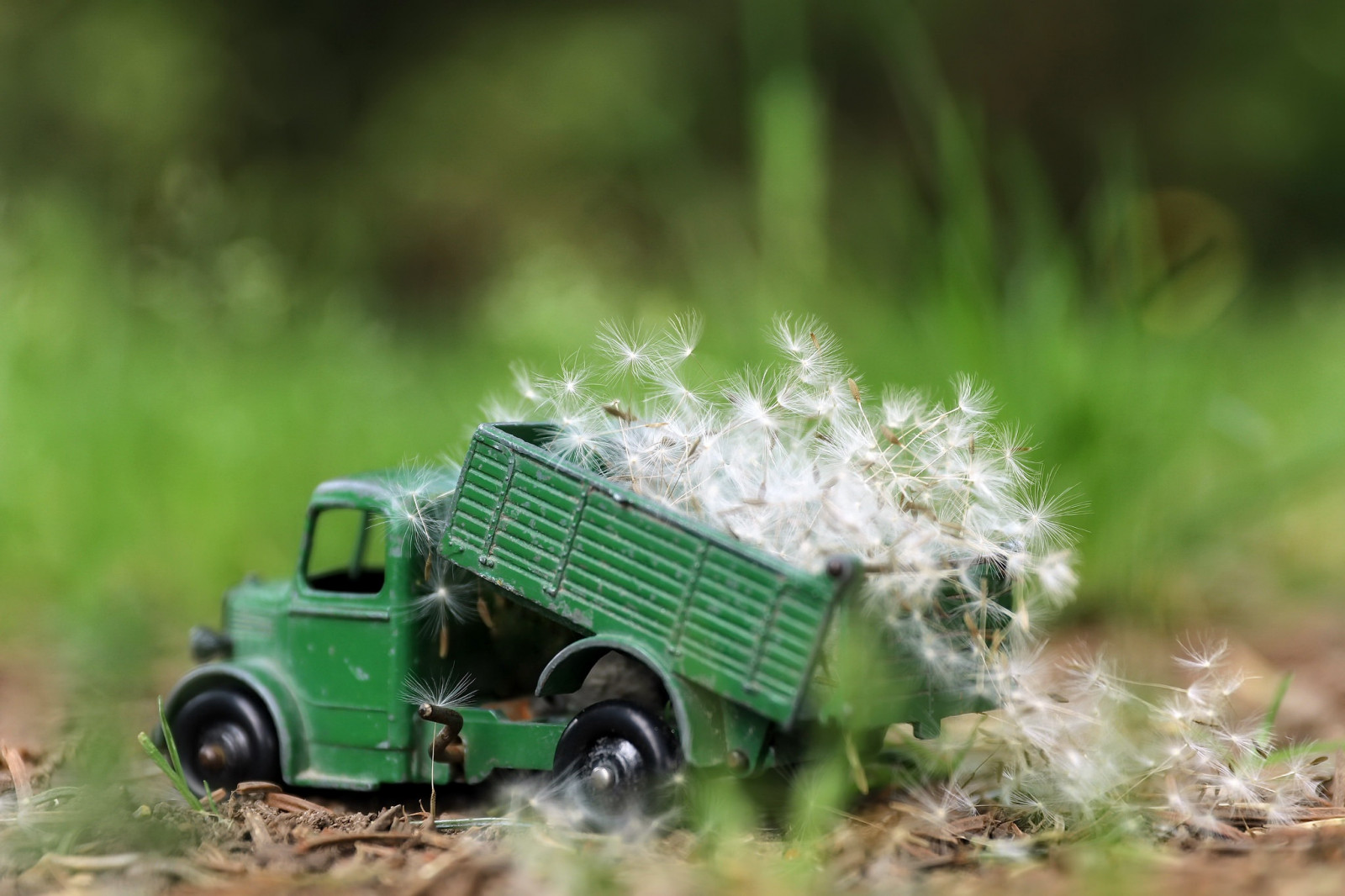 Wallpaper : car, green, toys, vehicle 2048x1365 - WallpaperManiac