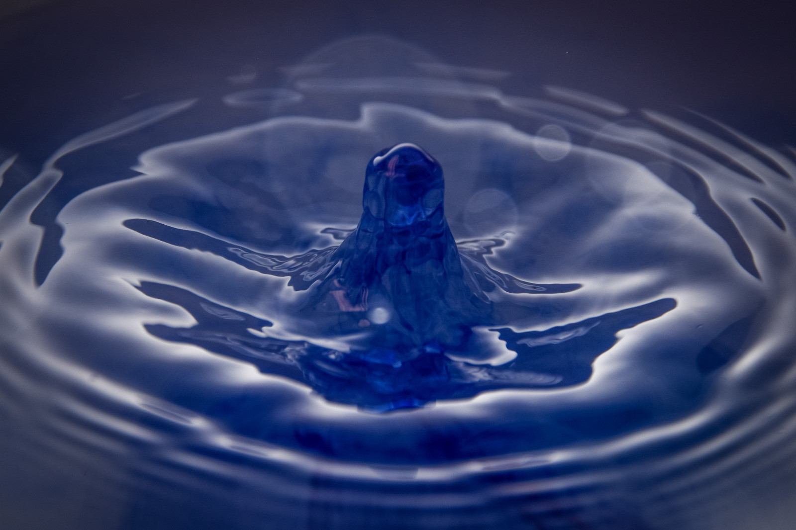 voda, odraz, déšť, fotografování, kapky vody, modrý, led, Německo, Nikon, orel, zmrazení, tání, biologie, pokles, okvětní lístek, Atmosféra Země, zblízka, makro fotografie, kapalina bublina