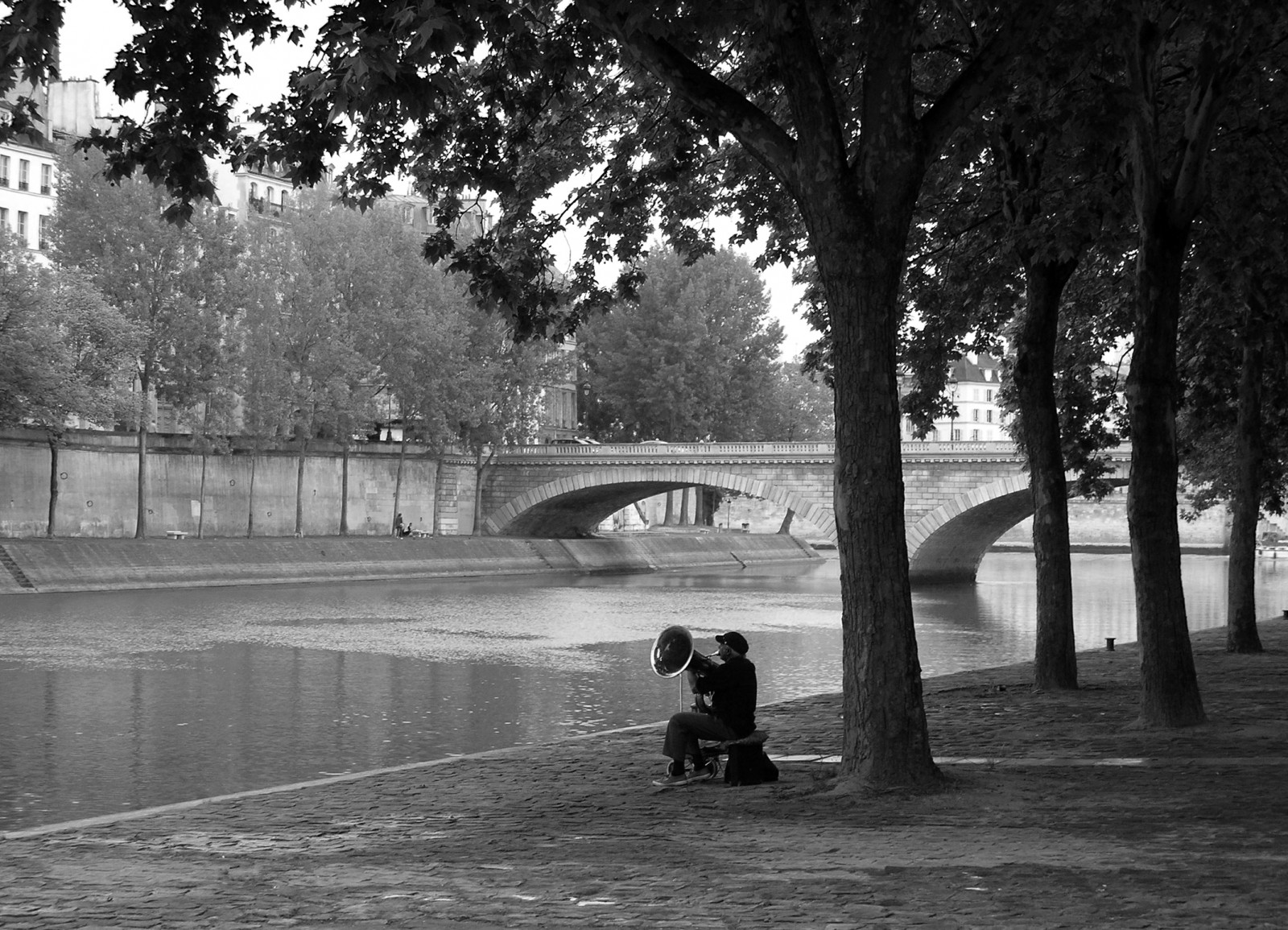 slunečnímu záření, krajina, Černá, černobílý, město, ulice, architektura, voda, odraz, nebe, park, stín, silnice, fotografování, větev, večer, ráno, Paříž, chodník, kultura, Seine, Olympus, infrastruktura, strom, cestovat, list, rostlina, Street View, fotografie, cesta, noiretblanc, nb, momentka, poetický, rekreace, balade, urban area, Černý a bílý, monochromatické fotografování, dřevina, Quais, urbanlandscape, veřejný prostor, D couverte