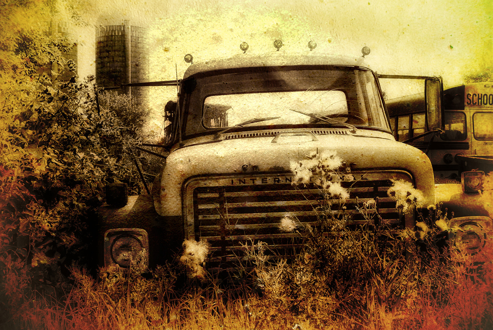 starý, auto, vozidlo, hospodařit, rez, Spojené státy americké, rozklad, veteránem, nákladní auto, Minnesota, venkovský, země, blinkagain, klasický, magicunicornverybest, magicunicornmasterpiece, tatot, automobilového designu, kompaktní vůz, motorové vozidlo, střední velikost auta, watonwancounty, motat