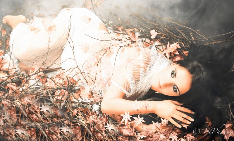 skønhed, pige, fotografering, træ, sollys, portrætfotografering