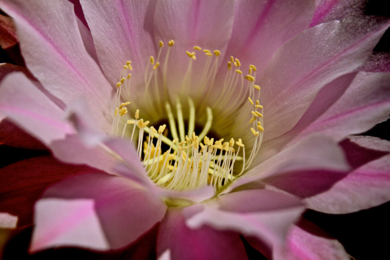 Barcelona, Čína, Kalifornie, narozeniny, Vánoce, město, rodina, květiny, modrý, podzim, Přátelé, Anglie, Černý a bílý, tělesné, jídlo, Pes, dítě, Indie, Dům, Dovolená, Chicago, Kanada, Černá, Francie, květ, barva, Berlín, zelená, pták, UMĚNÍ, podzim, film, pláž, předvečer Všech svatých, kostel, dívka, auto, móda, ptactvo, zvěř, kolo, festival, architektura, mraky, kočka, Kánon, Německo, zahrada, de, geotagged, zábava, ostrov, grafiti, Hawaii, tanec, Fotbal, koncert, Asie, Evropa, den, Florida, kapela, Austrálie, iPhone, iphoneografie, instagramapp