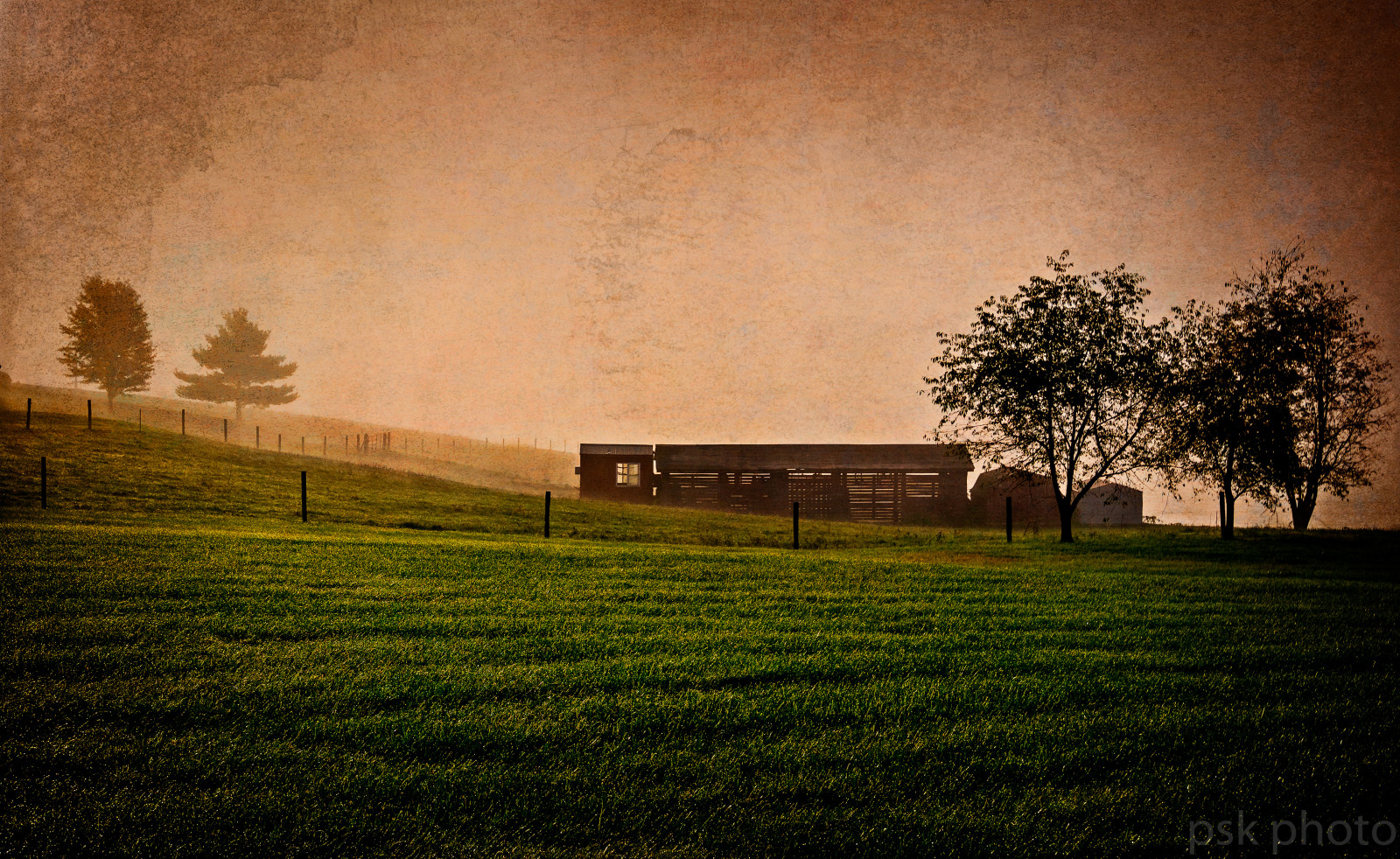 sollys, landskab, efterår, solnedgang, nat, natur, afspejling, græs, himmel, Mark, hus, solopgang, grøn, aften, morgen, tåge, Sol, struktur, horisont, 2016, lys, Sky, træ, efterår, blad, blomst, daggry, plante, mørke, landbrug, landdistrikt, atmosfærisk fænomen, vedplante