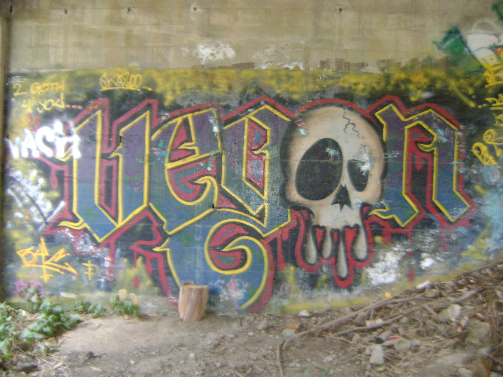 Wallpaper wall, coast, California, skull, graffiti, street art, mural