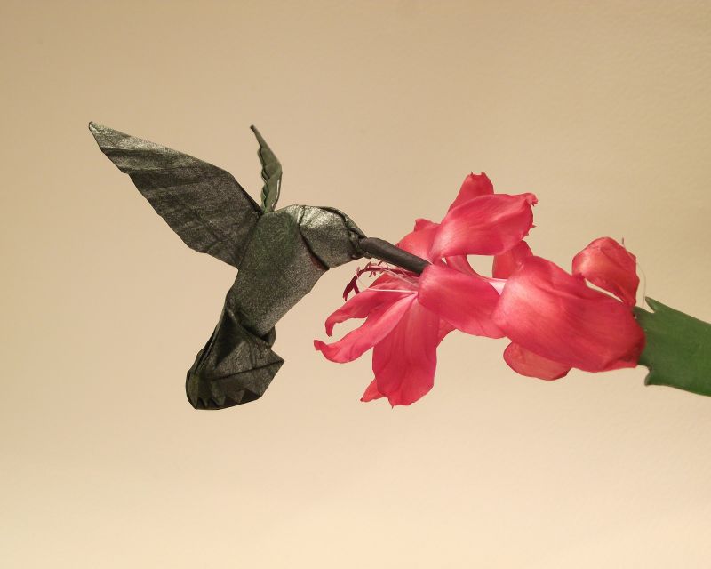 花,緑,鳥,紙,折り紙,ハチドリ