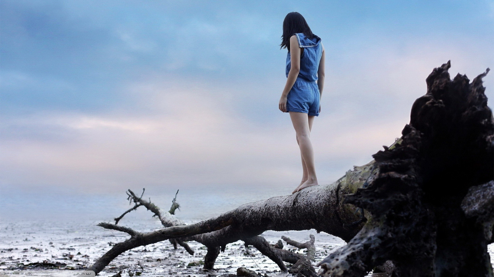Árboles, mujer, mar, rock, vestido azul, nieve, invierno, azul, primavera, para caminar, árbol, montaña, clima, temporada, 2048x1152 px