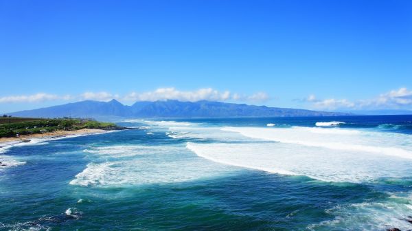 4592x2576 px,beach,Hawaii,Maui,palm trees,isle of Maui