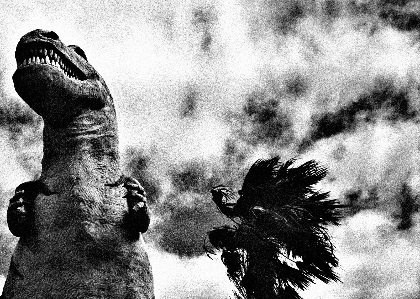 autoportrét, dinosauři, fujineopan1600, mackeson, Leicar7, Richardmackedon