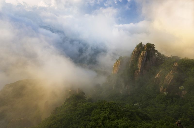slunečnímu záření, krajina, 500px, kopec, Příroda, les