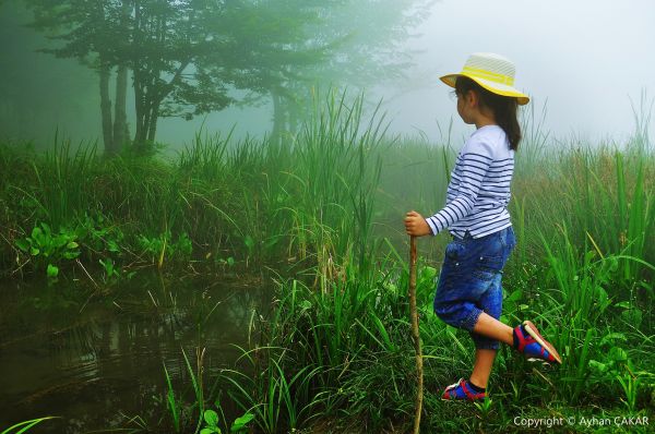sunlight,landscape,forest,children,water,nature