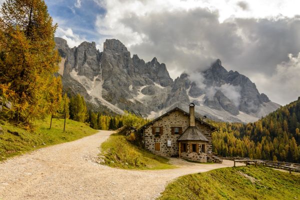 trees, landscape, forest, mountains, Italy, hill