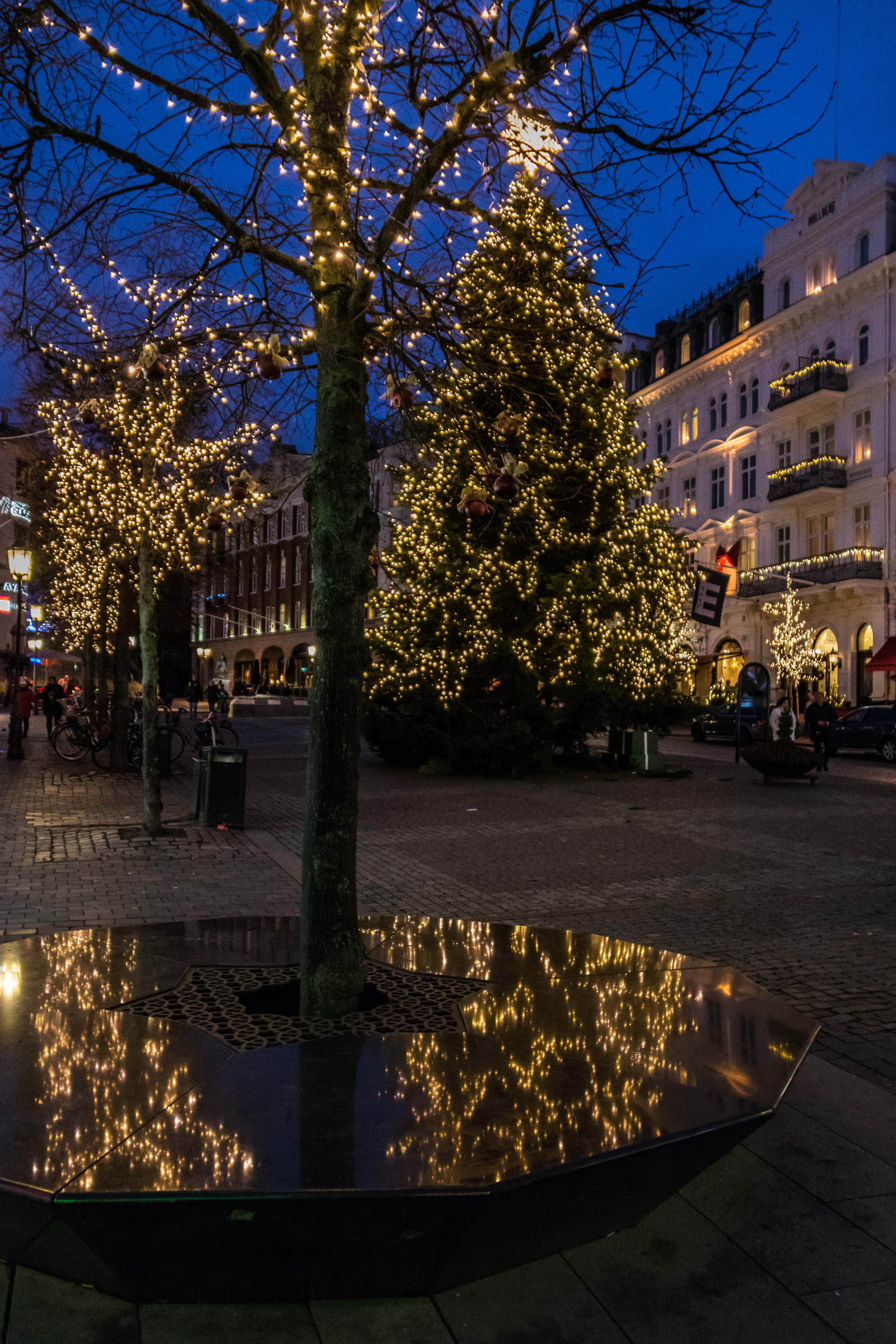 město, ulice, panoráma města, noc, odraz, večer, Vánoce, náměstí, Vánoční osvětlení, světlo, strom, centrum, podzim, květ, Vánoce, osvětlení, vánoční strom, julgran, července, helsingborg, náměstí, reflektion, exif modelu canoneos760d, geocountry, Kamera aby kánon, geocity, Model fotoaparátu canoneos760d, geostate, geolocation, EXIF čočka efs18200mmf3556is, exif aby kánon, exif focallength 18mm, exif isospeed 3200, christmaslight, julbelysning, EXIF otvor 35, babička, urban area, dřevina, vánoční dekorace