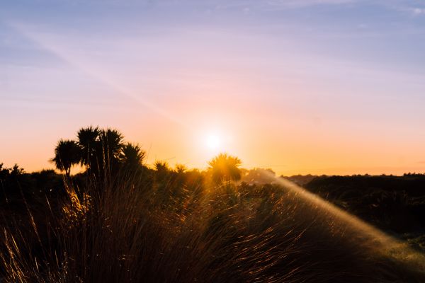 spring,New Zealand,invercargill,sunrise