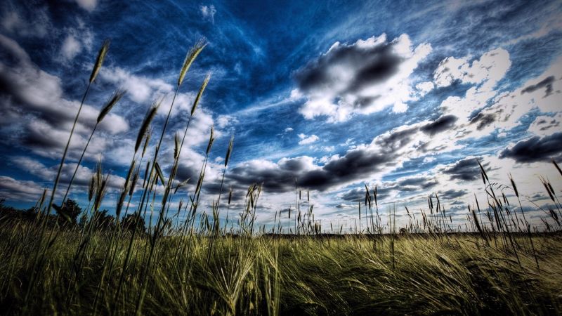 sunlight, landscape, nature, reflection, grass, sky sunlight, landscape, nature, reflection, grass, sky