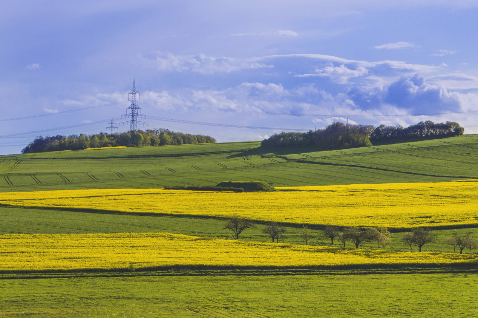 krajina, kopec, tráva, nebe, pole, zelená, žlutý, hospodařit, horizont, mount scenérie, step, řepkového, mrak, strom, lučina, rostlina, pastvina, znásilnění, nárazy, gr n, řepka, rapefield, zemědělství, louka, prostý, energie, gelb, vysočina, prérie, Feld, oříznutí, rapsfeld, venkov, vyrobit, tráva rodina, brassica, pozemek pozemek, hořčice závod, brassica rapa, hořčice a zelí rodina, ekoregion, Wachenbuchen