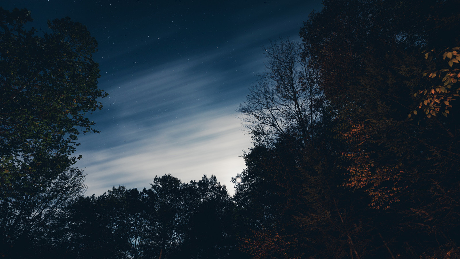 mrak, nebe, atmosféra, Natural landscape, svět, rostlina, soumrak, strom, větvička, astronomický objekt, dřevina, horizont, krajina, Tints and shades, kupa, prostor, dřevo, uklidnit, petrolejově modrá, Věda, les, tma, hvězda, meteorologický jev, zima, půlnoc, kufr, večer, astronomie, odraz, noc, podsvícení, smíšený les, tropical and subtropical coniferous forests, nebeská událost, zálesí, zmrazení, měsíční svit, Northern hardwood forest, vesmír, silueta, vesmír