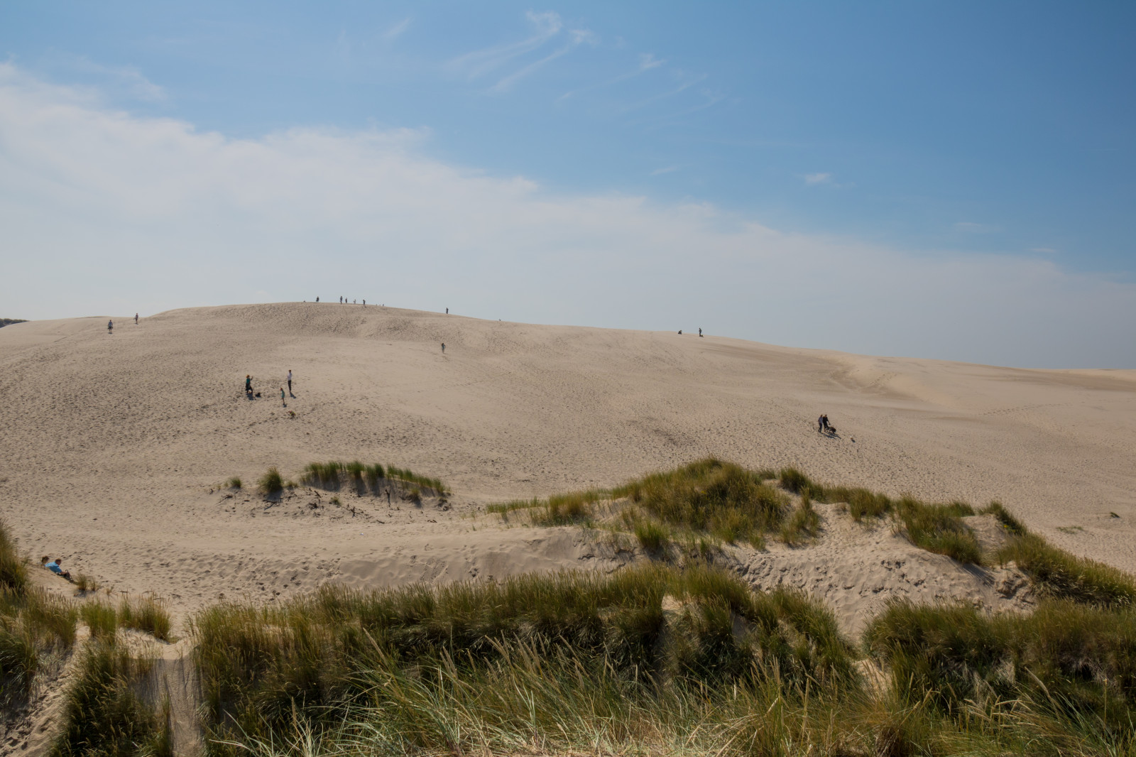 paesaggio, collina, sabbia, deserto, natura selvaggia, duna, Danimarca, altopiano, steppa, prateria, Danmark, Skagen, bunkenklitplantage, r bjergmile, Jylland, sanddyn, migratingcoastaldune, pianura, prateria, geologia, habitat, ambiente naturale, landform, caratteristica geografica, ecosistema, wadi, calanchi, landform Eolie