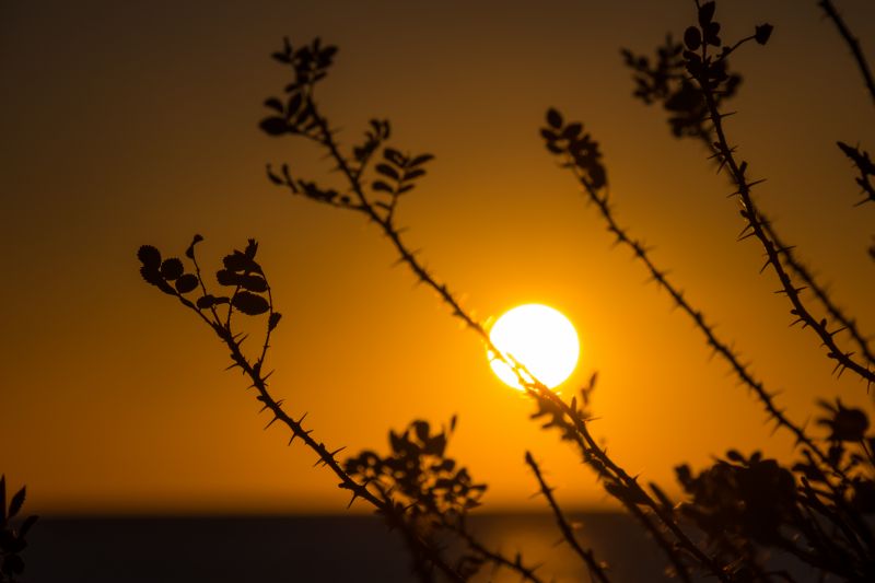 sunlight, sunset, sea, nature, reflection, sky sunlight, sunset, sea, nature, reflection, sky