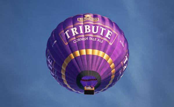 balloon,flying,sky,logo